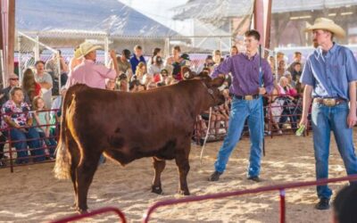 Southwest Washington Fair: A Legacy Rooted in Agriculture